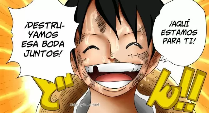 One Piece - Capítulo 857 - Página 31 - LectorTMOo