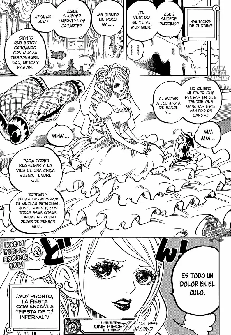 One Piece - Capítulo 859 - Página 17 - LectorTMOo