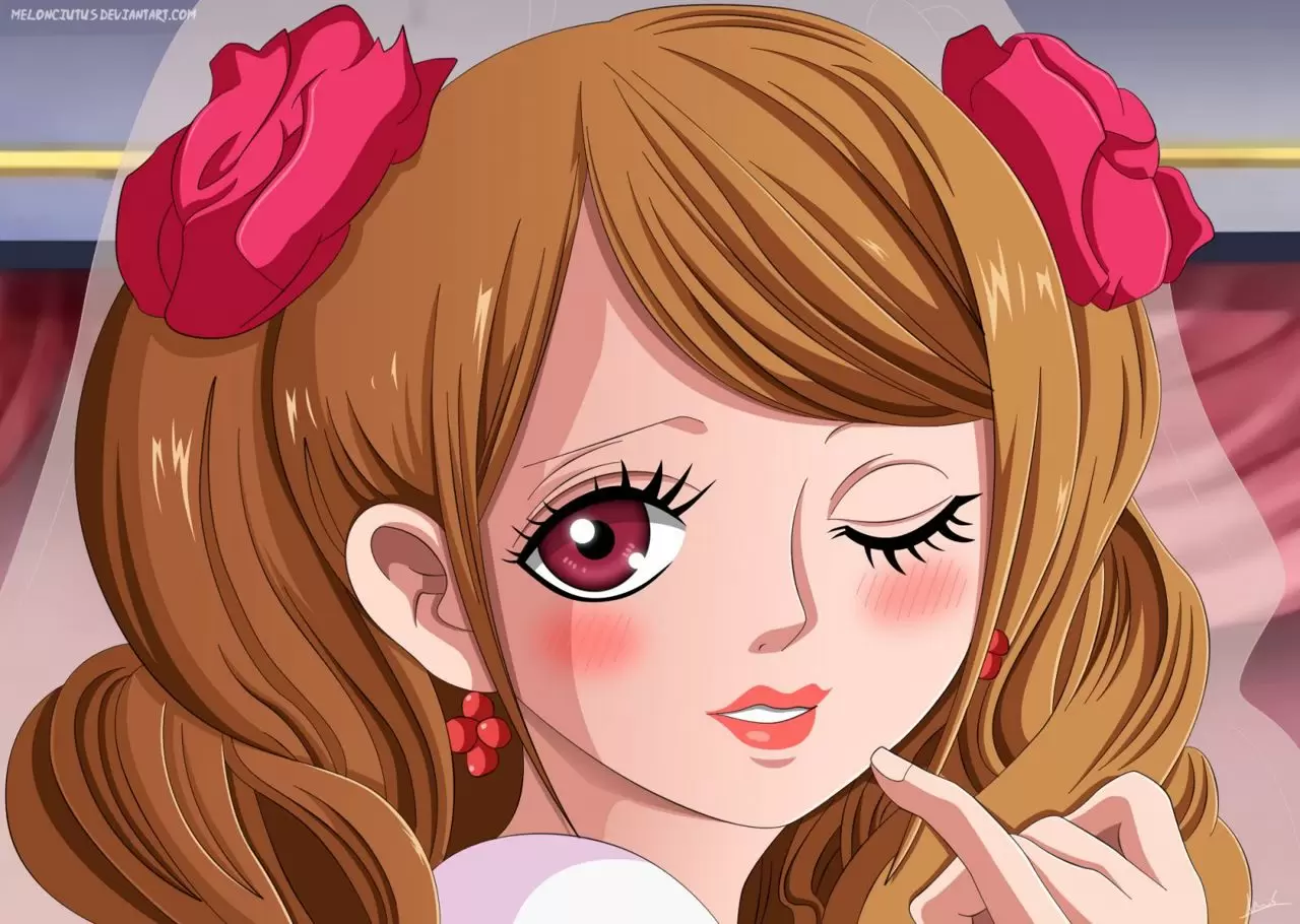 One Piece - Capítulo 862 - Página 17 - LectorTMOo