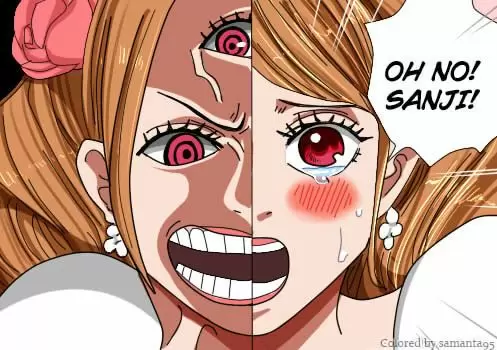 One Piece - Capítulo 862 - Página 22 - LectorTMOo
