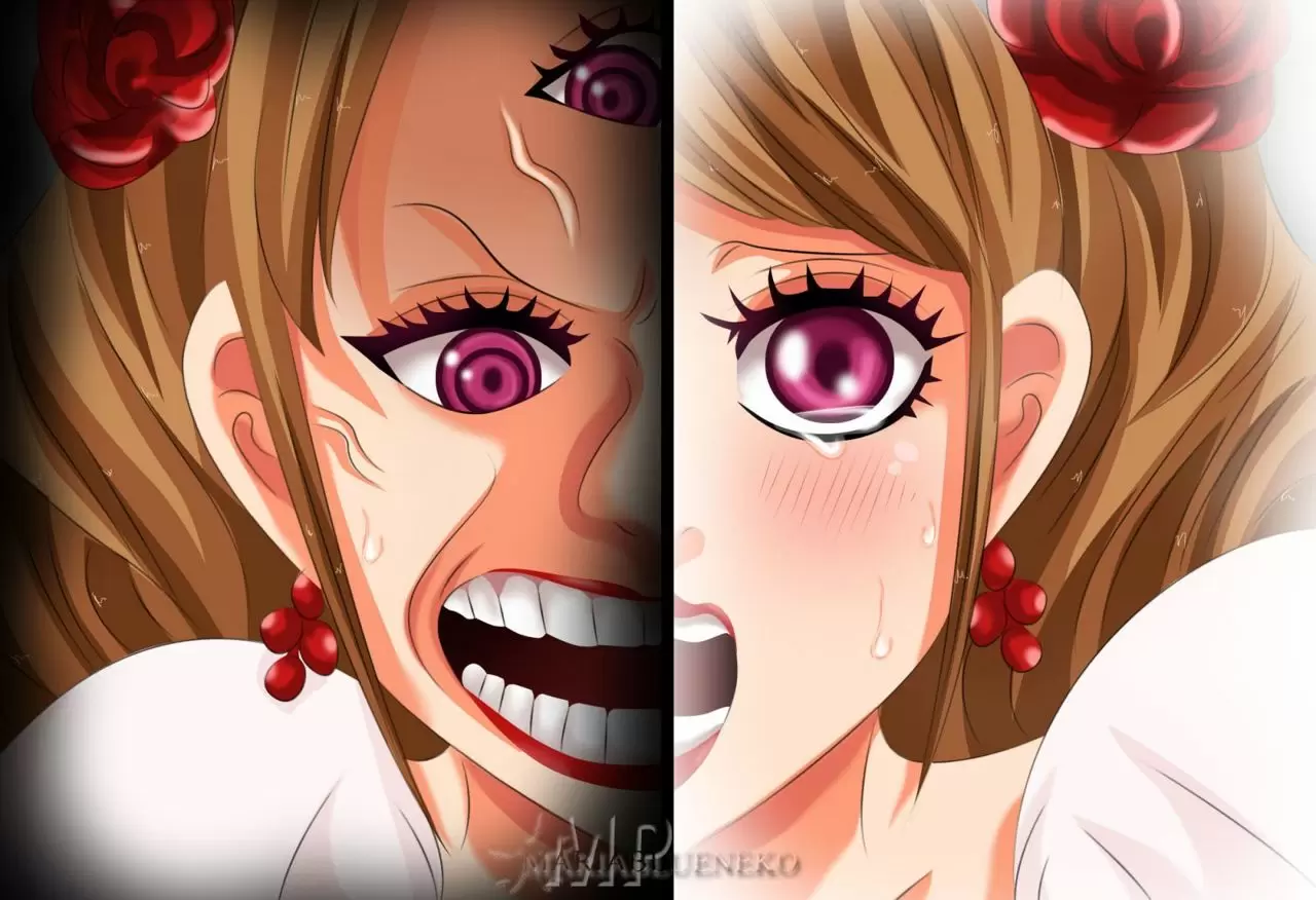 One Piece - Capítulo 862 - Página 31 - LectorTMOo