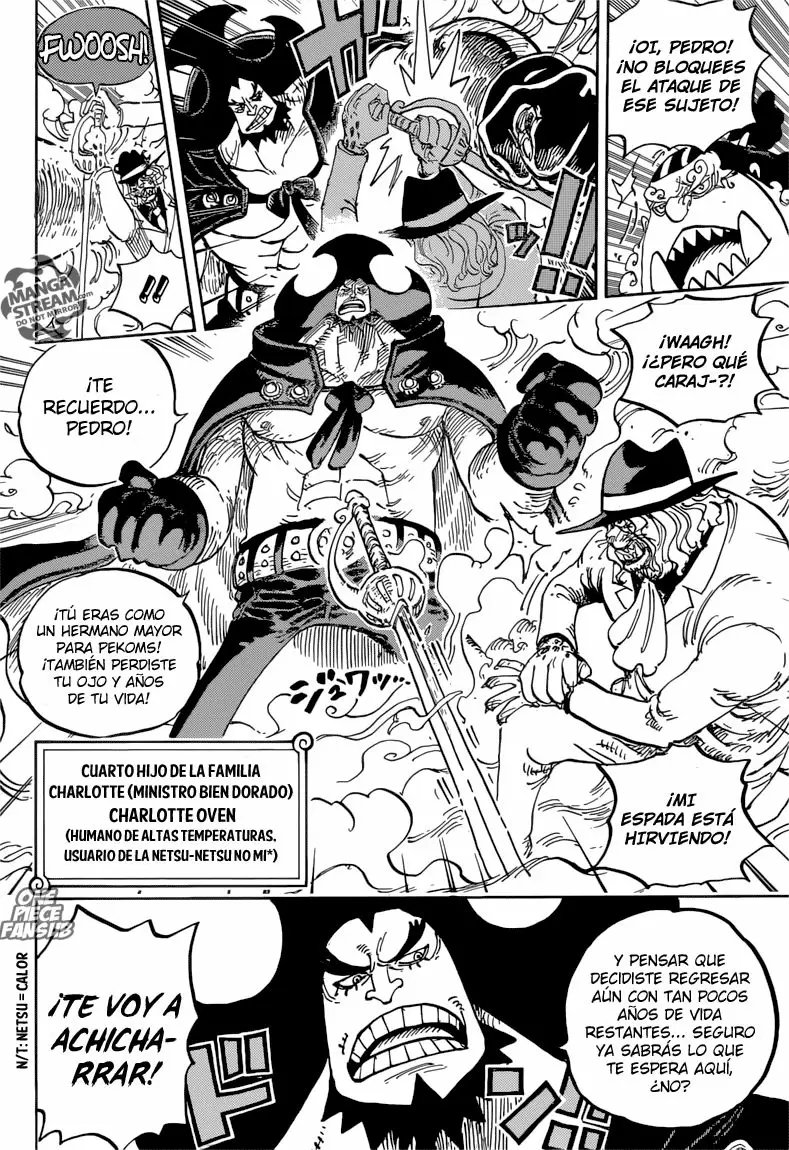 One Piece - Capítulo 864 - Página 11 - LectorTMOo