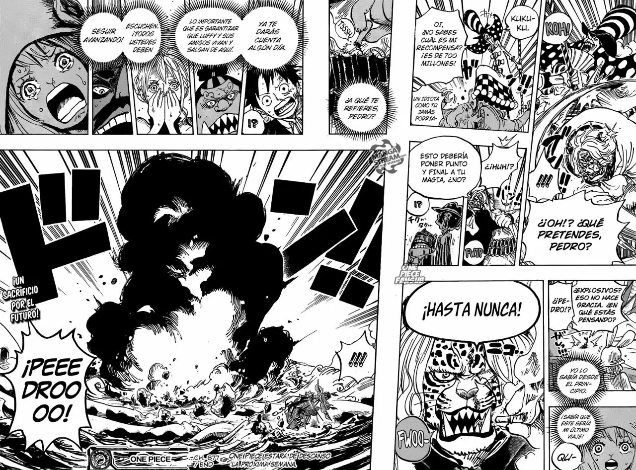 One Piece - Capítulo 877 - Página 16 - LectorTMOo