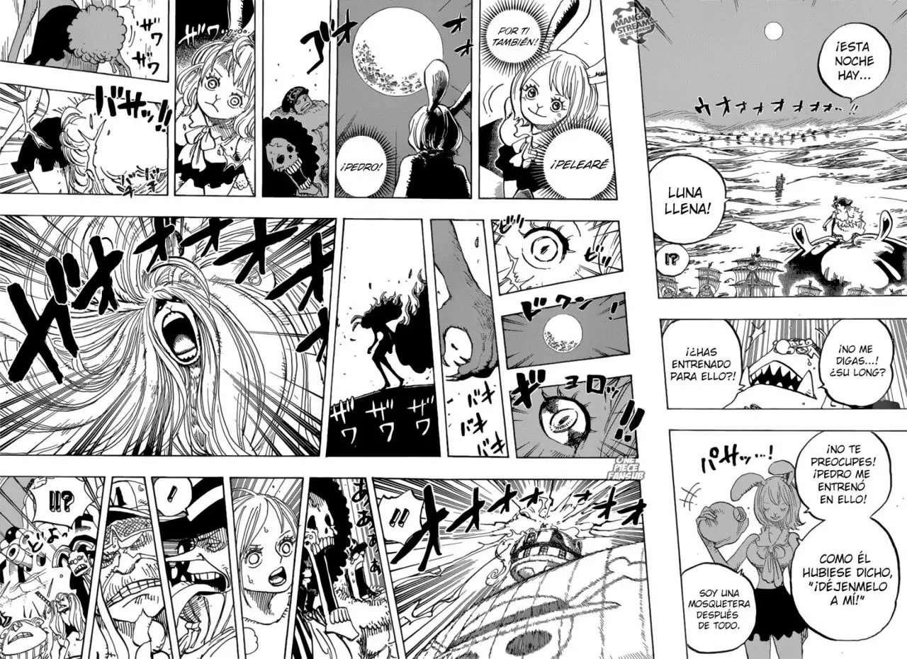 One Piece - Capítulo 888 - Página 11 - LectorTMOo