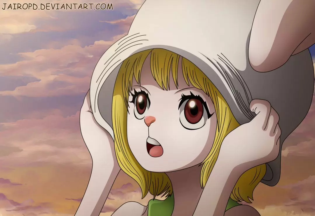 One Piece - Capítulo 888 - Página 19 - LectorTMOo
