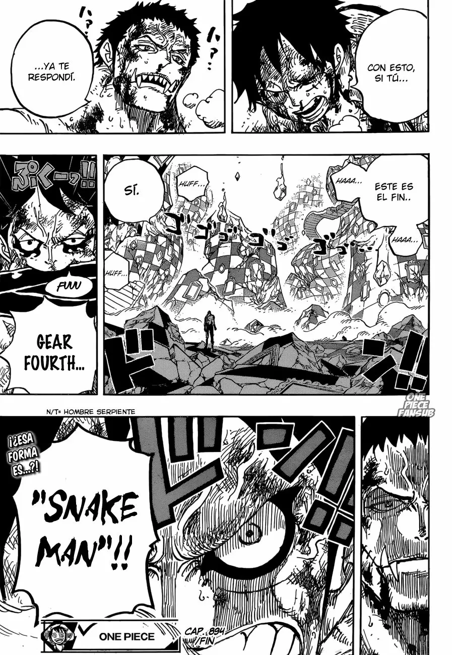 One Piece - Capítulo 894 - Página 17 - LectorTMOo