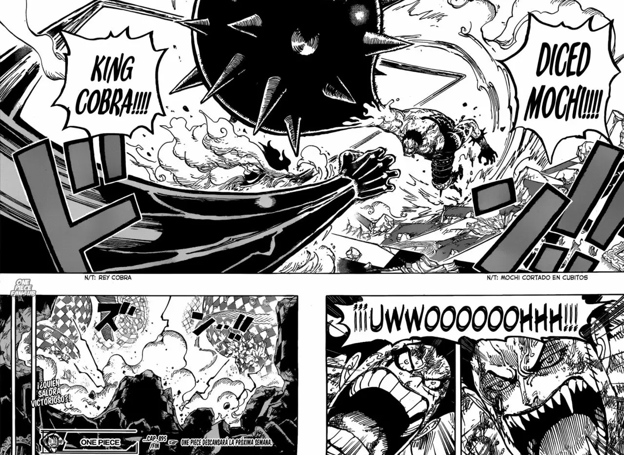 One Piece - Capítulo 895 - Página 16 - LectorTMOo
