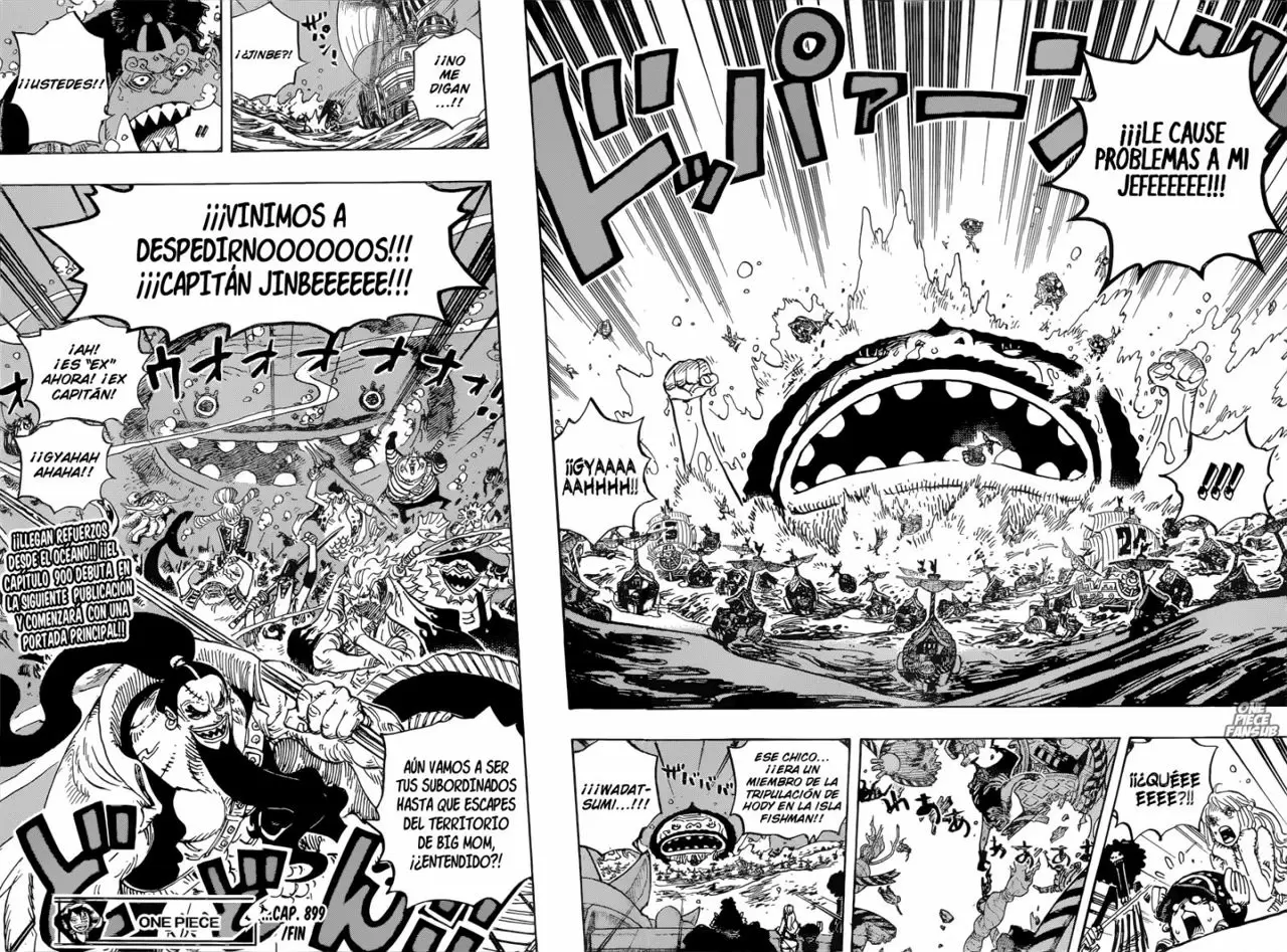 One Piece - Capítulo 899 - Página 17 - LectorTMOo