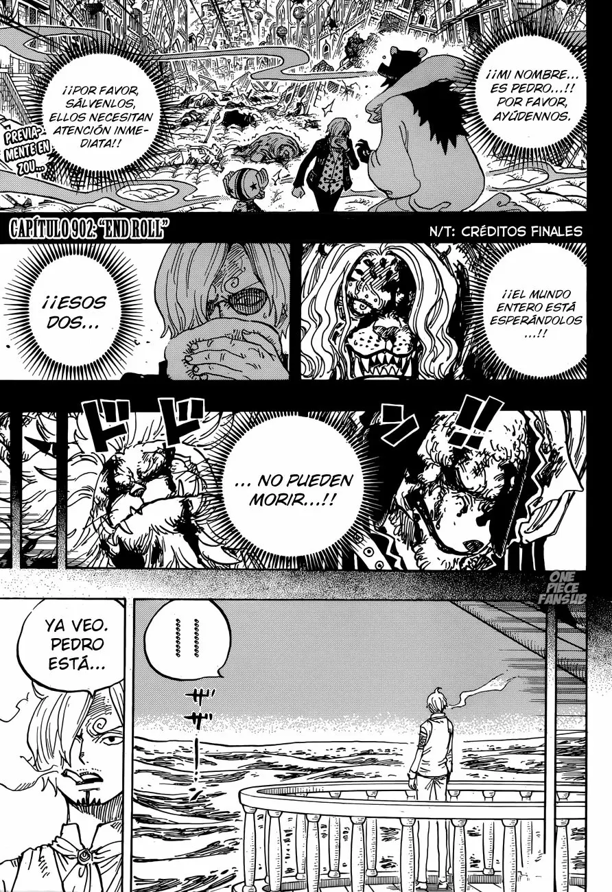 One Piece - Capítulo 902 - Página 3 - LectorTMOo