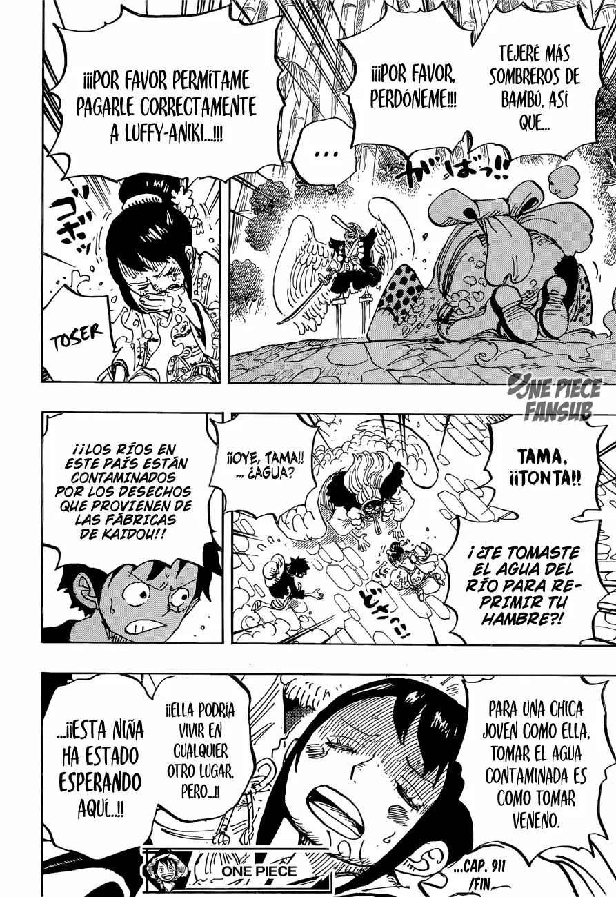 One Piece - Capítulo 911 - Página 17 - LectorTMOo