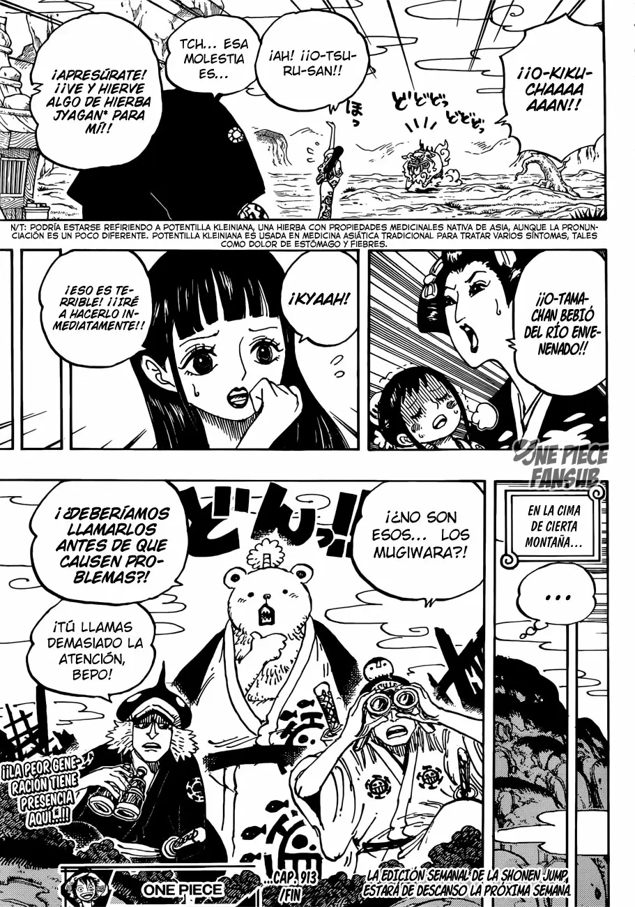 One Piece - Capítulo 913 - Página 15 - LectorTMOo