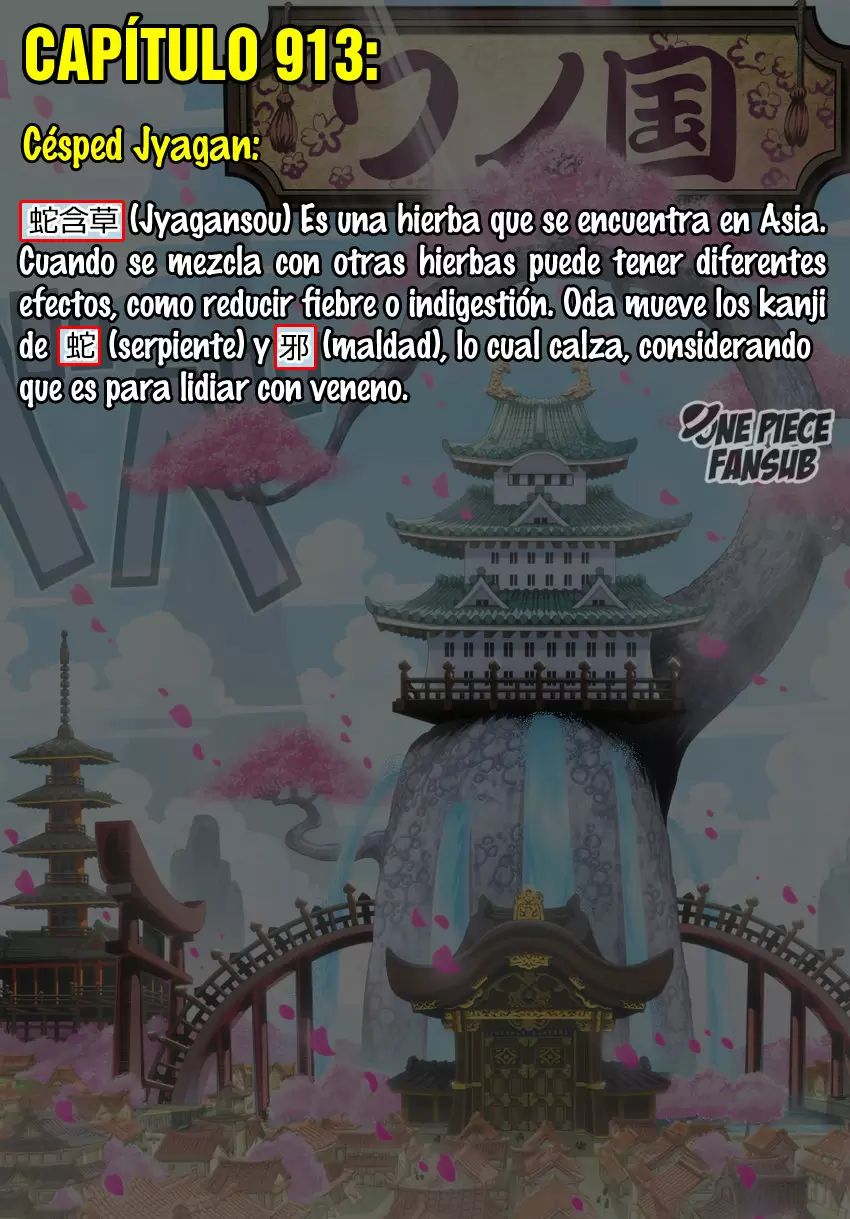 One Piece - Capítulo 914 - Página 21 - LectorTMOo