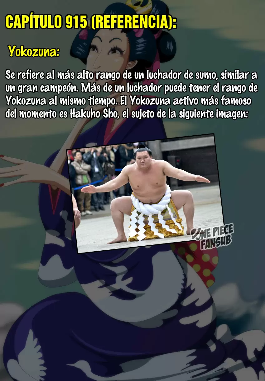 One Piece - Capítulo 915 - Página 17 - LectorTMOo