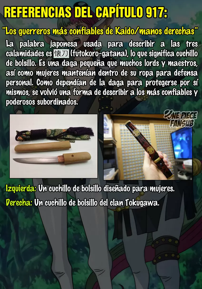 One Piece - Capítulo 917 - Página 18 - LectorTMOo