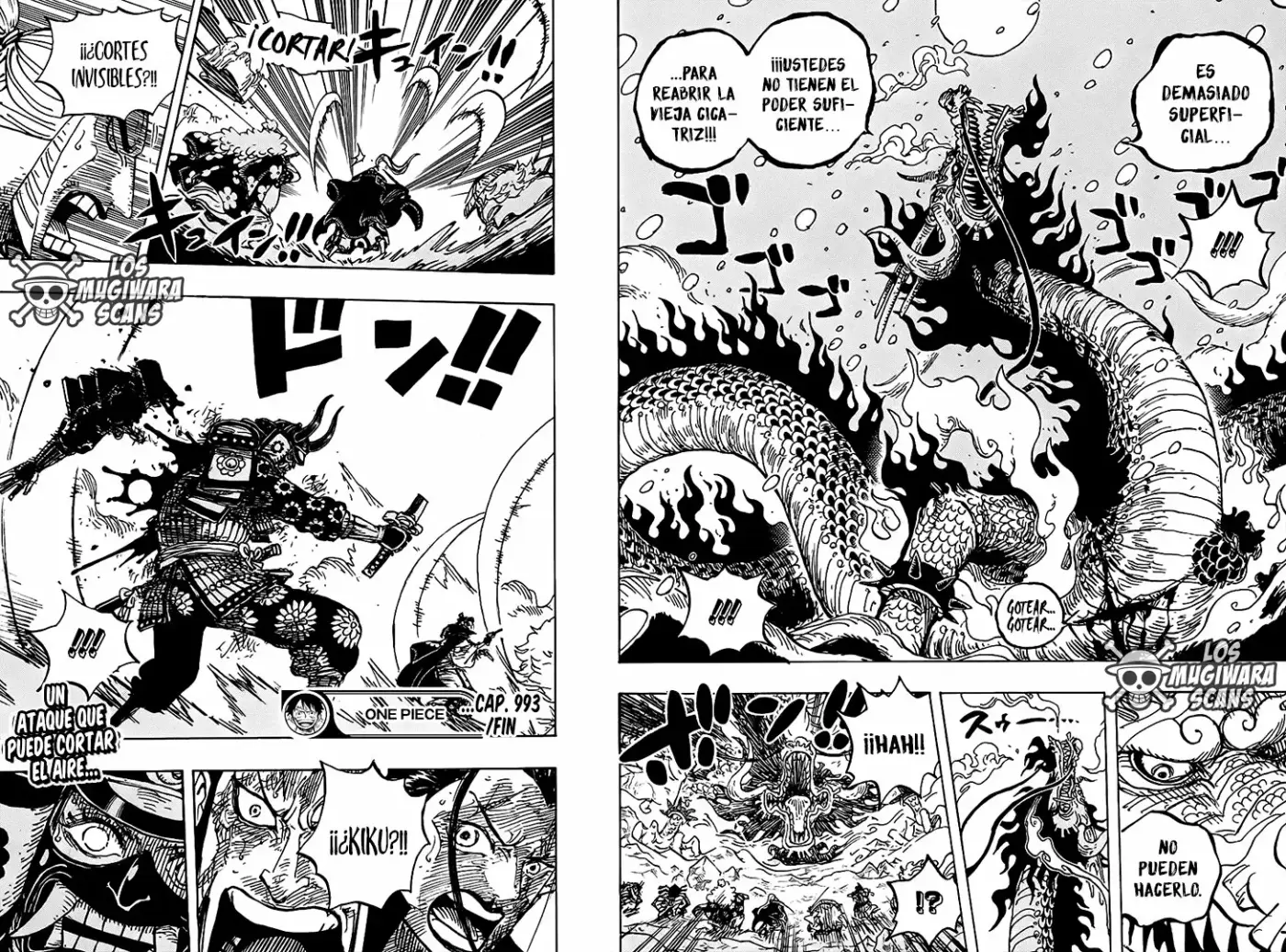 One Piece - Capítulo 993.5 - Página 16 - LectorTMOo