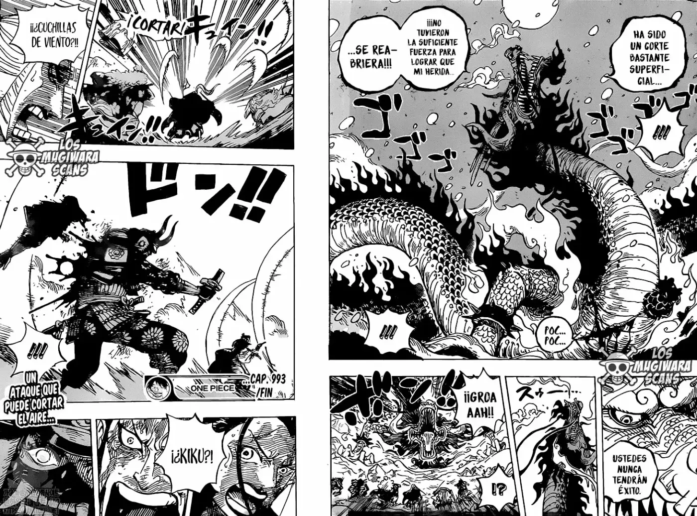 One Piece - Capítulo 993 - Página 17 - LectorTMOo