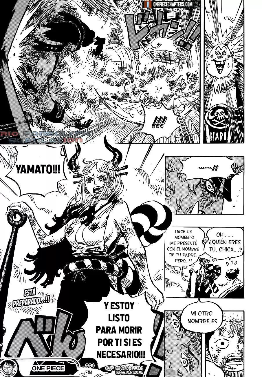 One Piece - Capítulo 994 - Página 16 - LectorTMOo