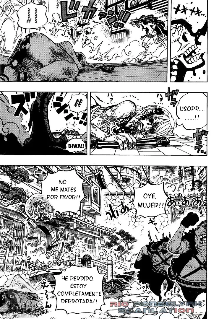 One Piece - Capítulo 995 - Página 14 - LectorTMOo