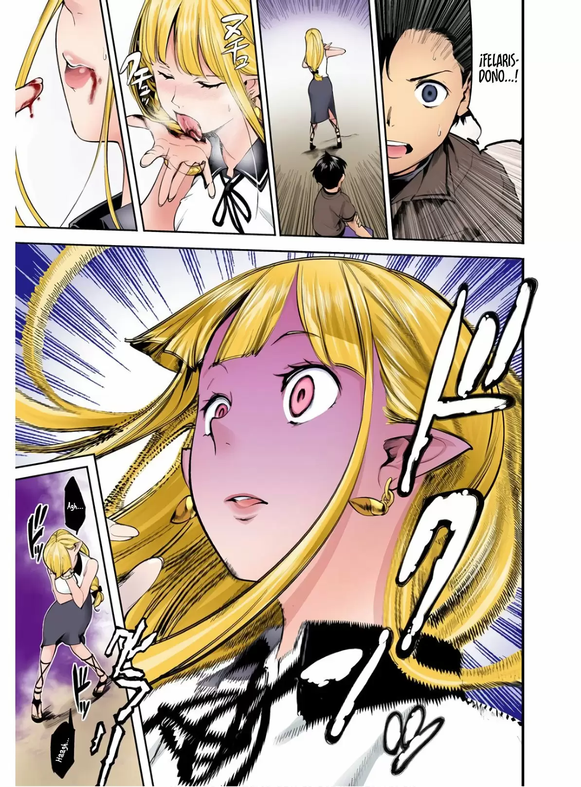 Shuumatsu no Harem: Fantasia - Capítulo 25.10 - Página 28 - LectorTMOo