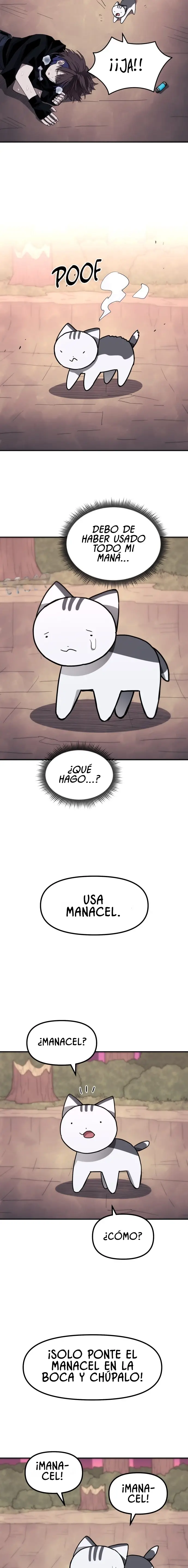 Solo un gato - Capítulo 19 - Página 13 - LectorTMOo