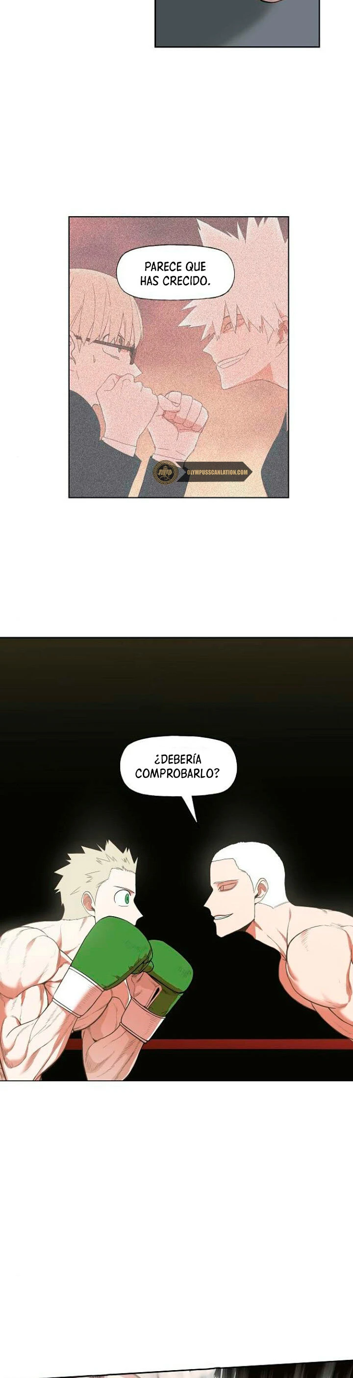 The boxer - Capítulo 108 - Página 33 - LectorTMOo