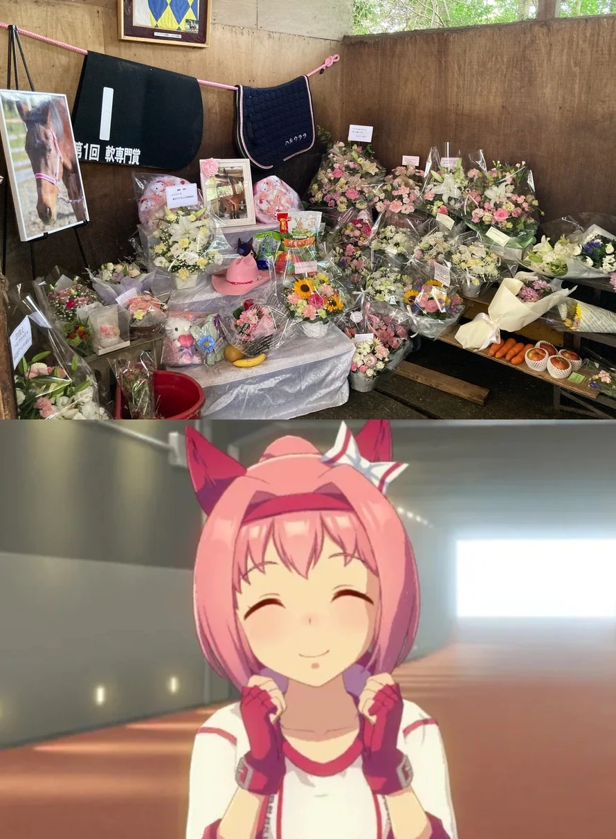 Uma Musume Pretty Derby: Haru Urara Ganbaru! - Capítulo 9 - Página 26 - LectorTMOo