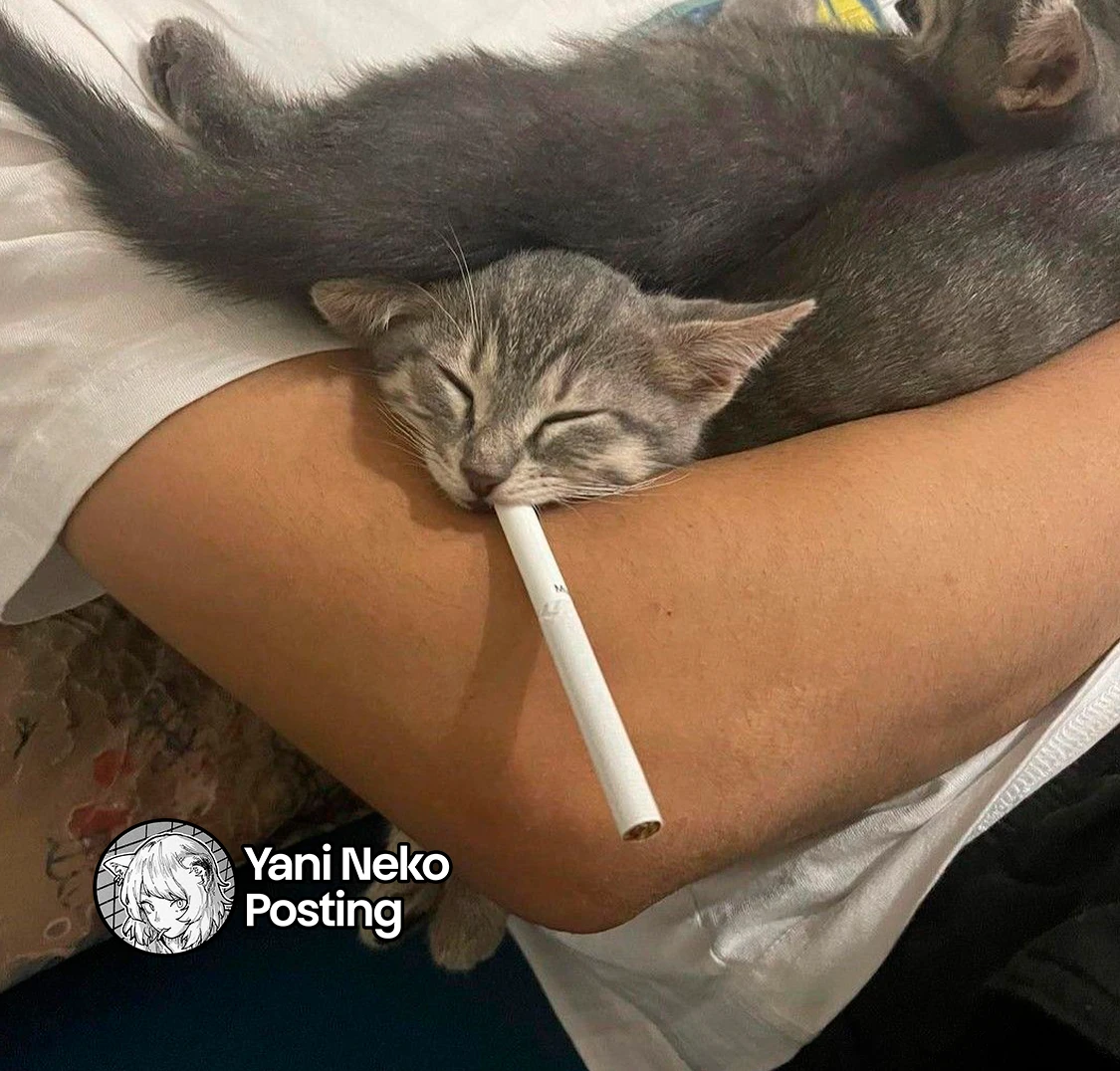 Yani Neko - Capítulo 76 - Página 7 - LectorTMOo