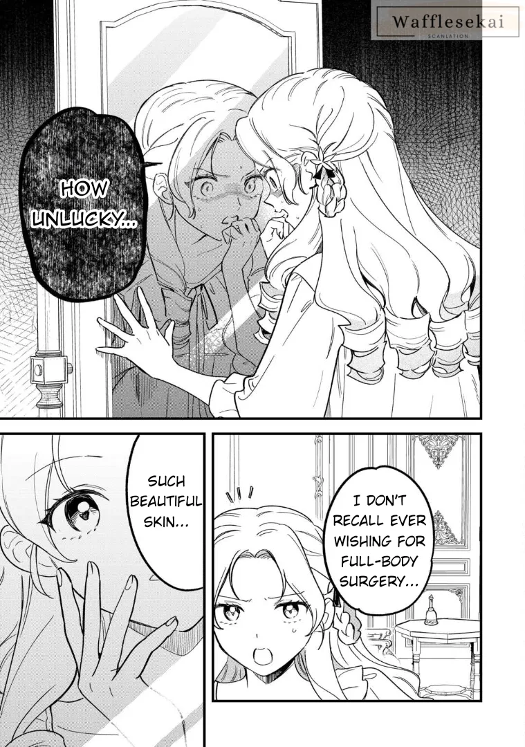 Akuyaku Reijou ni Onee ga Tenseishita kedo nanimo Mondai ga Nai Ken - Capítulo 1 - Página 5 - LectorTMOo