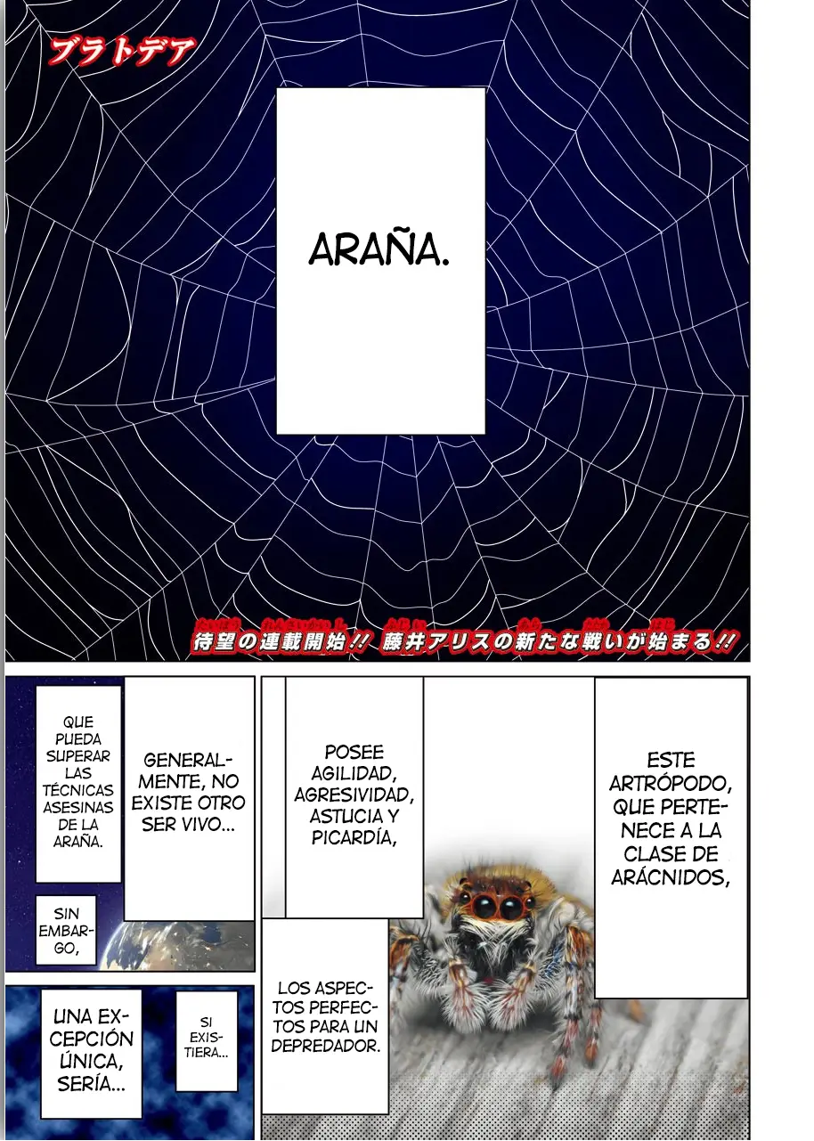 Blattodea capítulo 0 página 4