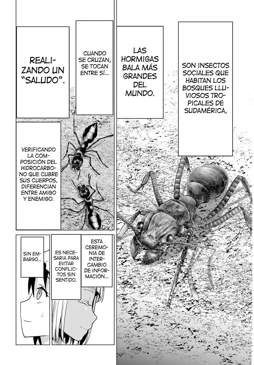 Blattodea capítulo 1 página 42