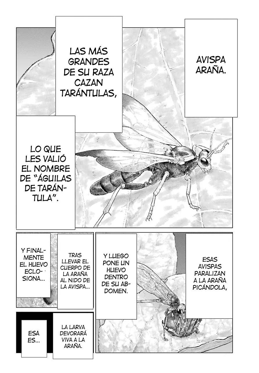 Blattodea capítulo 10 página 19