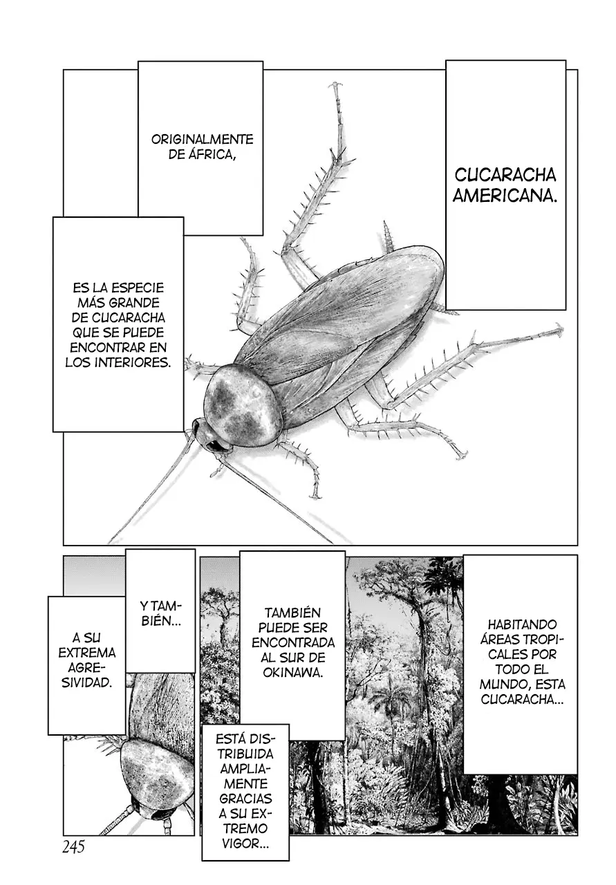 Blattodea capítulo 2 página 13