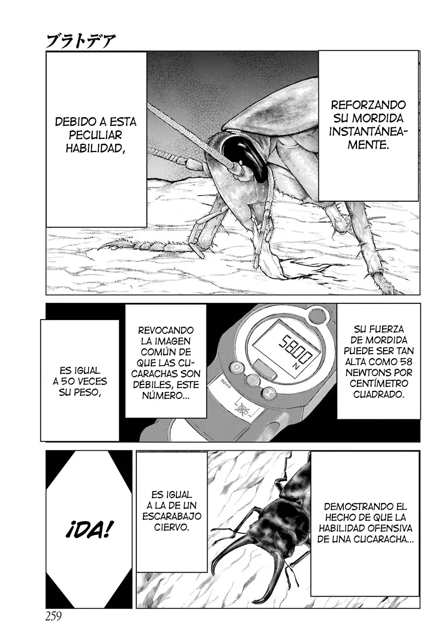 Blattodea capítulo 2 página 25