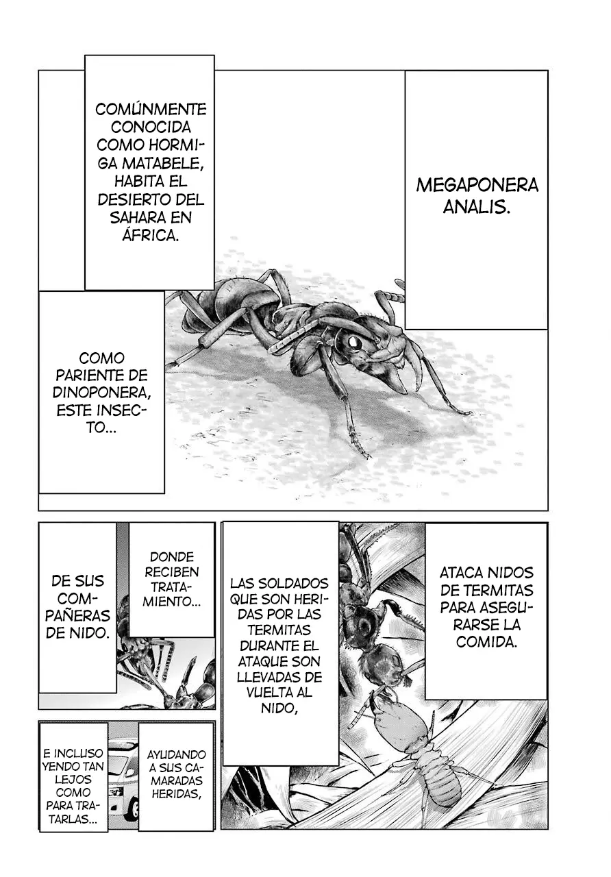 Blattodea capítulo 4 página 27