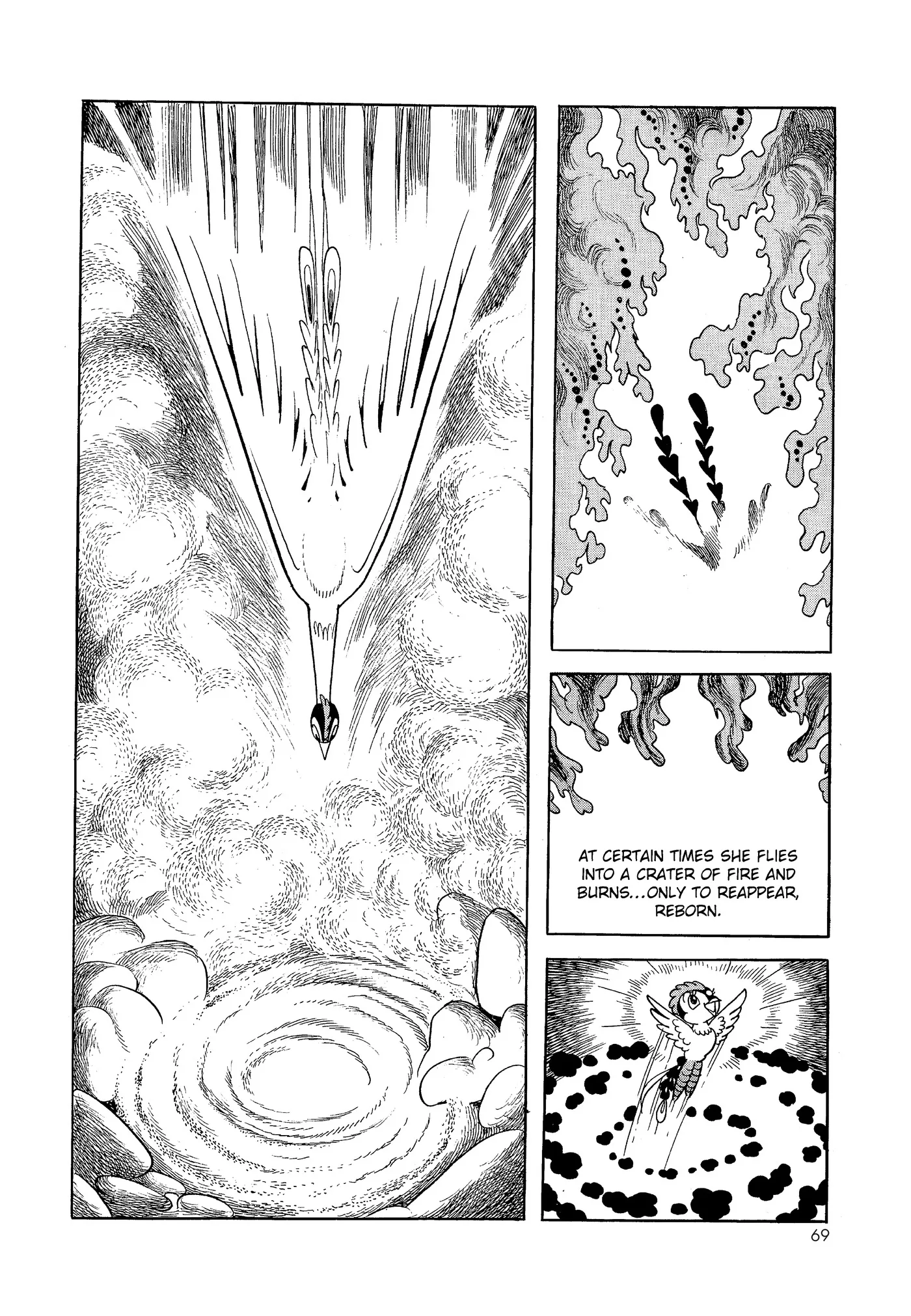 Phoenix - Capítulo 1 - Página 69 - LectorTMOo