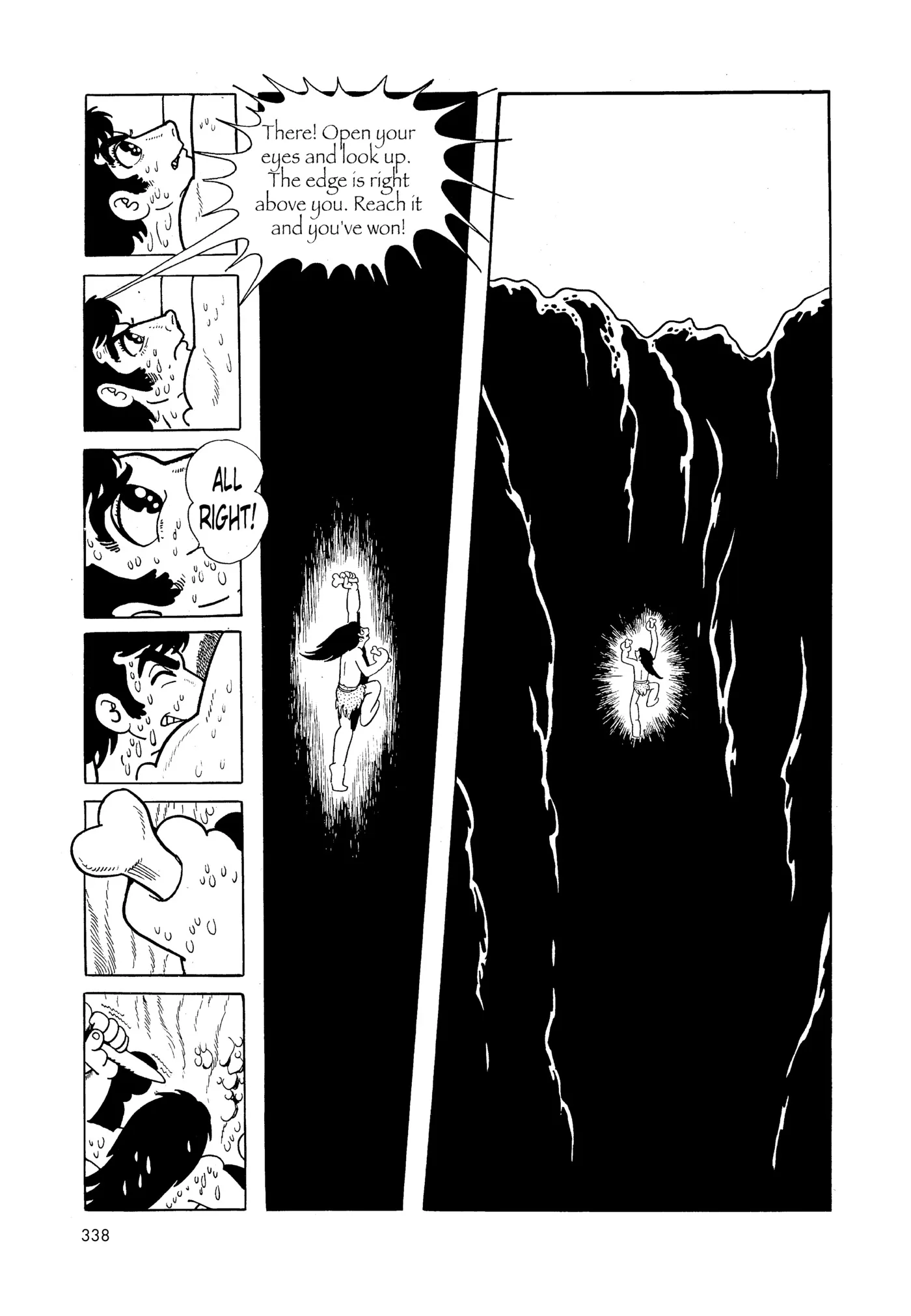 Phoenix - Capítulo 1 - Página 335 - LectorTMOo