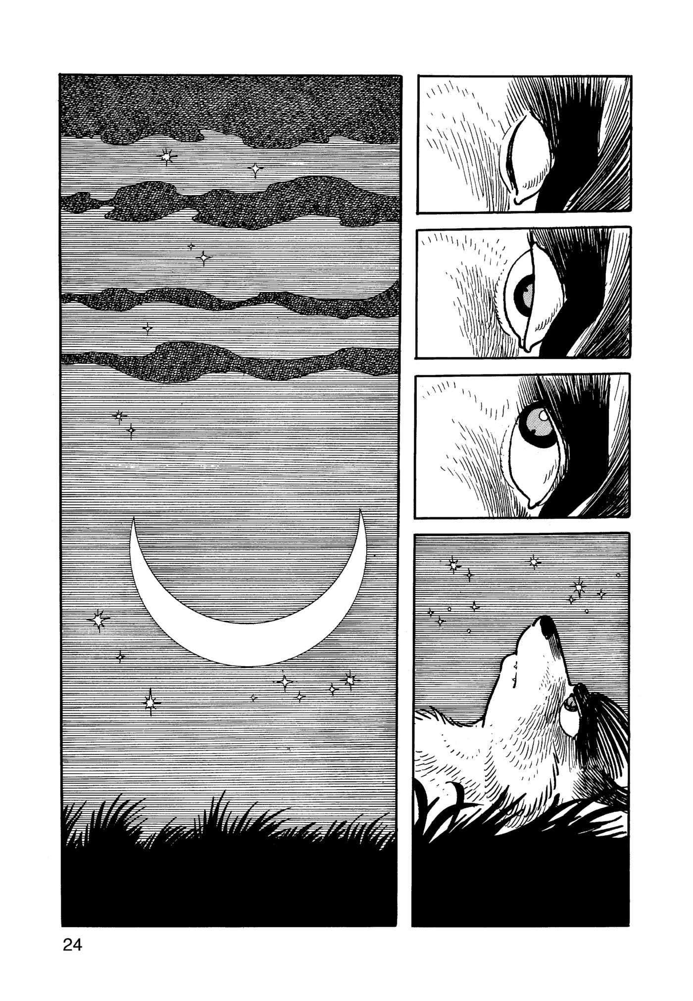 Phoenix - Capítulo 12.1 - Página 25 - LectorTMOo