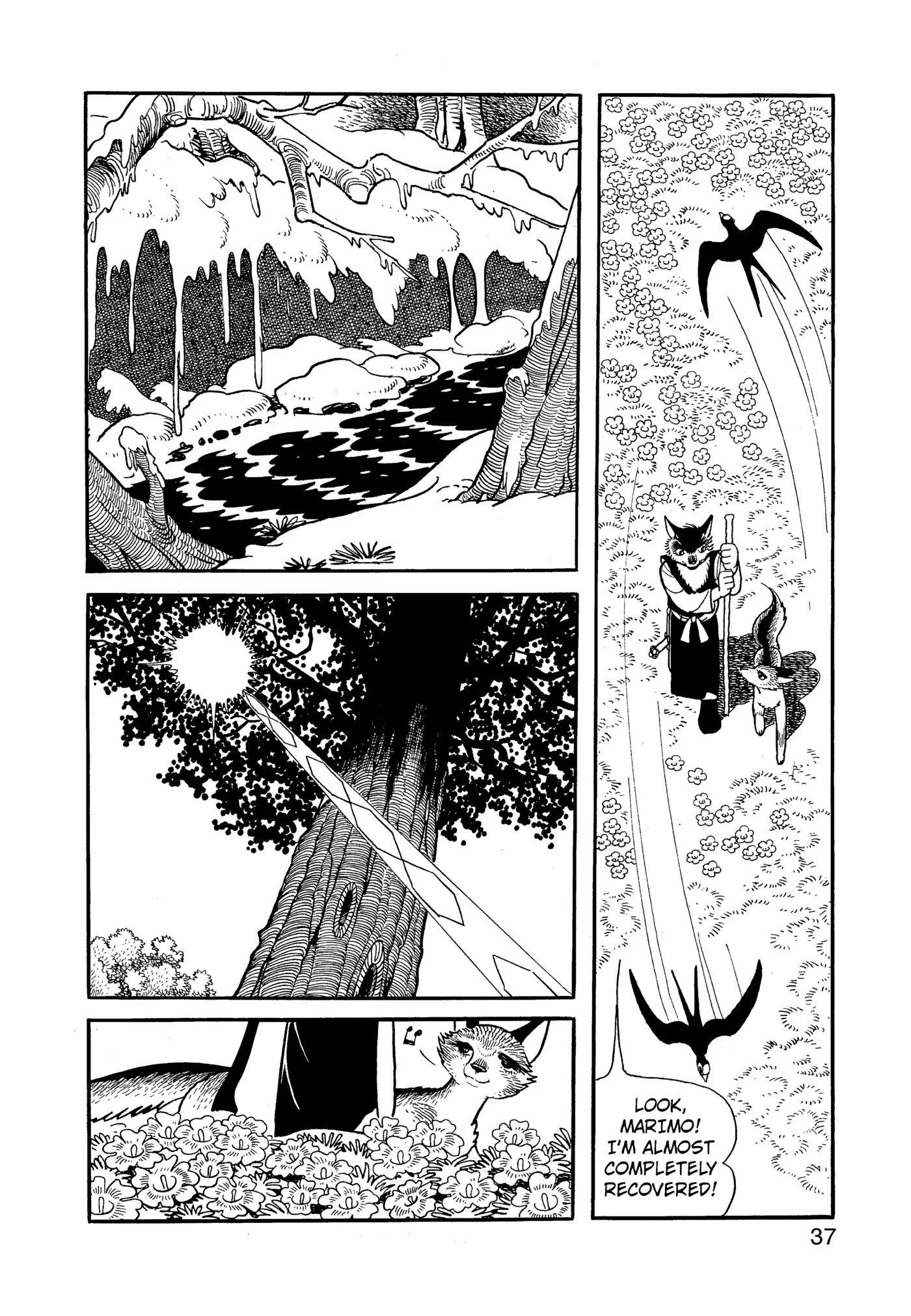 Phoenix - Capítulo 12.2 - Página 37 - LectorTMOo