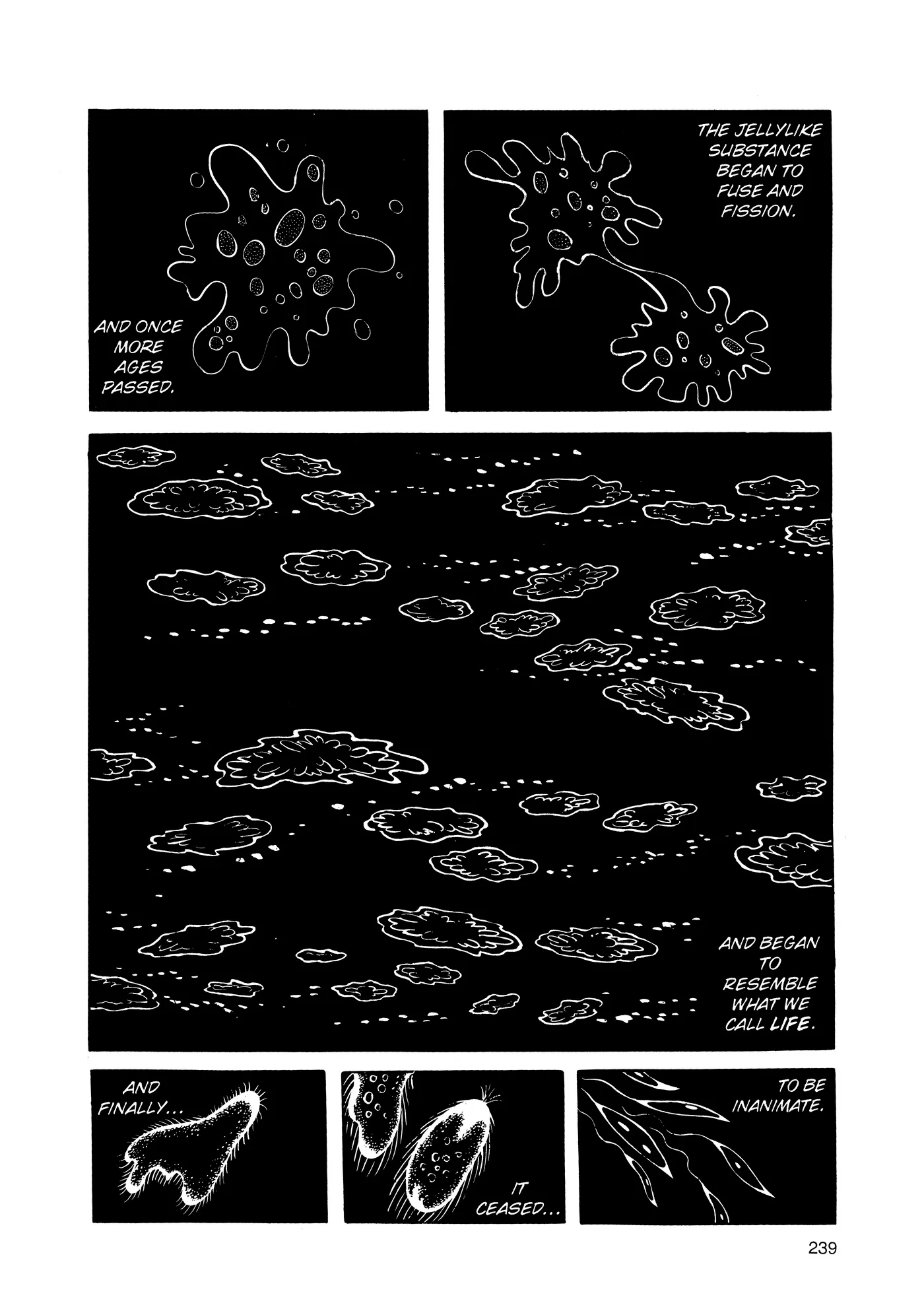 Phoenix - Capítulo 2 - Página 238 - LectorTMOo