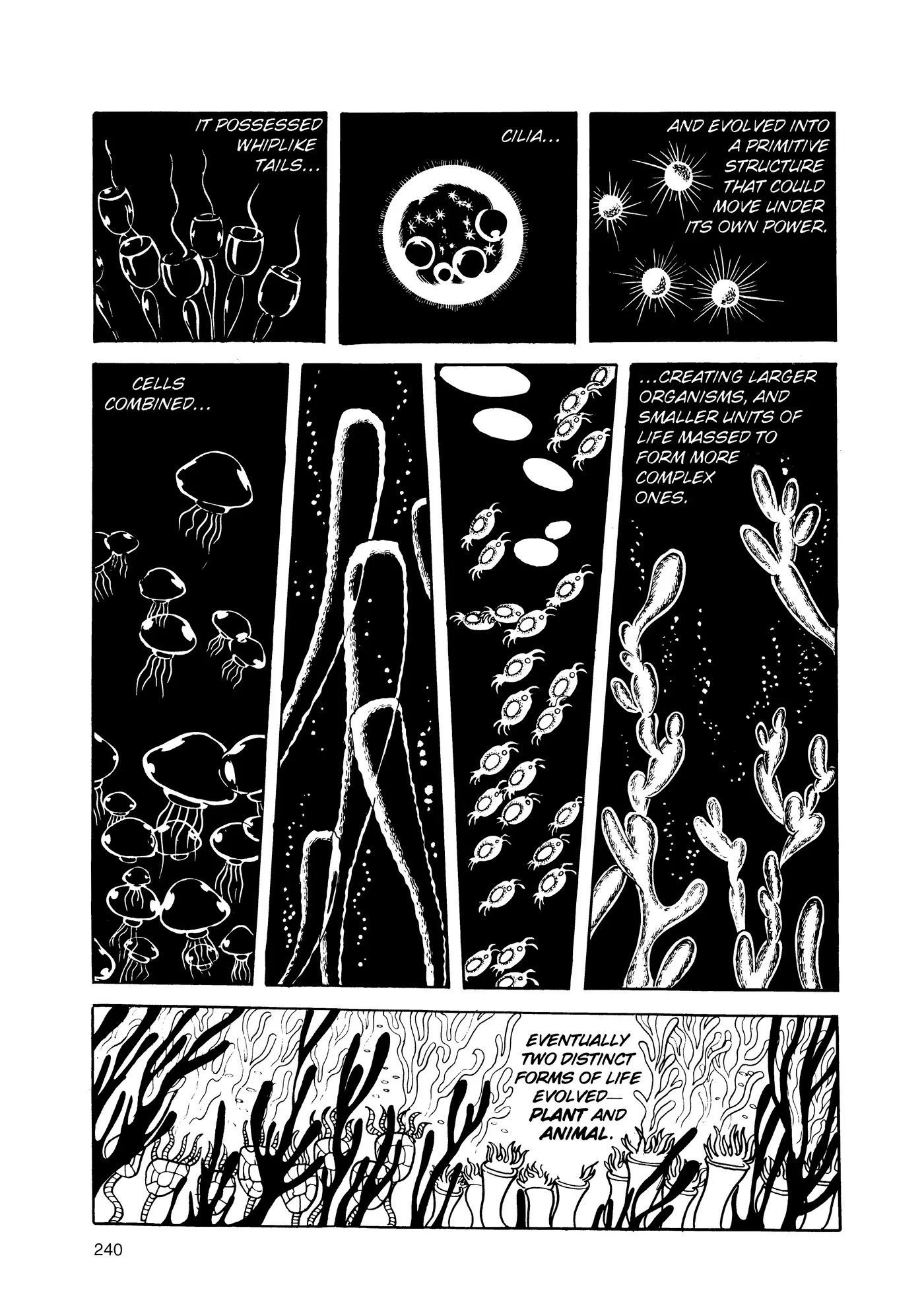 Phoenix - Capítulo 2 - Página 239 - LectorTMOo