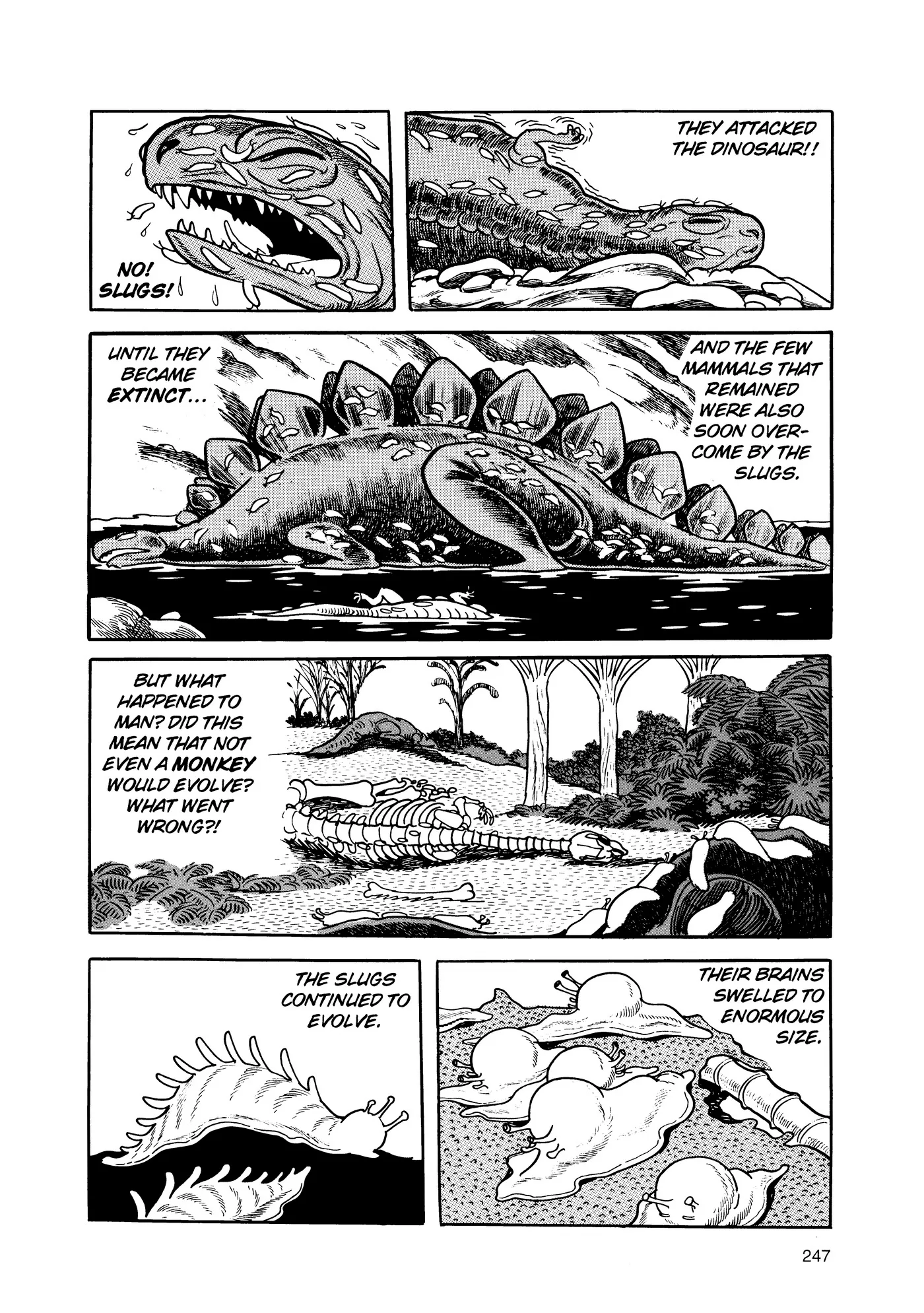Phoenix - Capítulo 2 - Página 246 - LectorTMOo