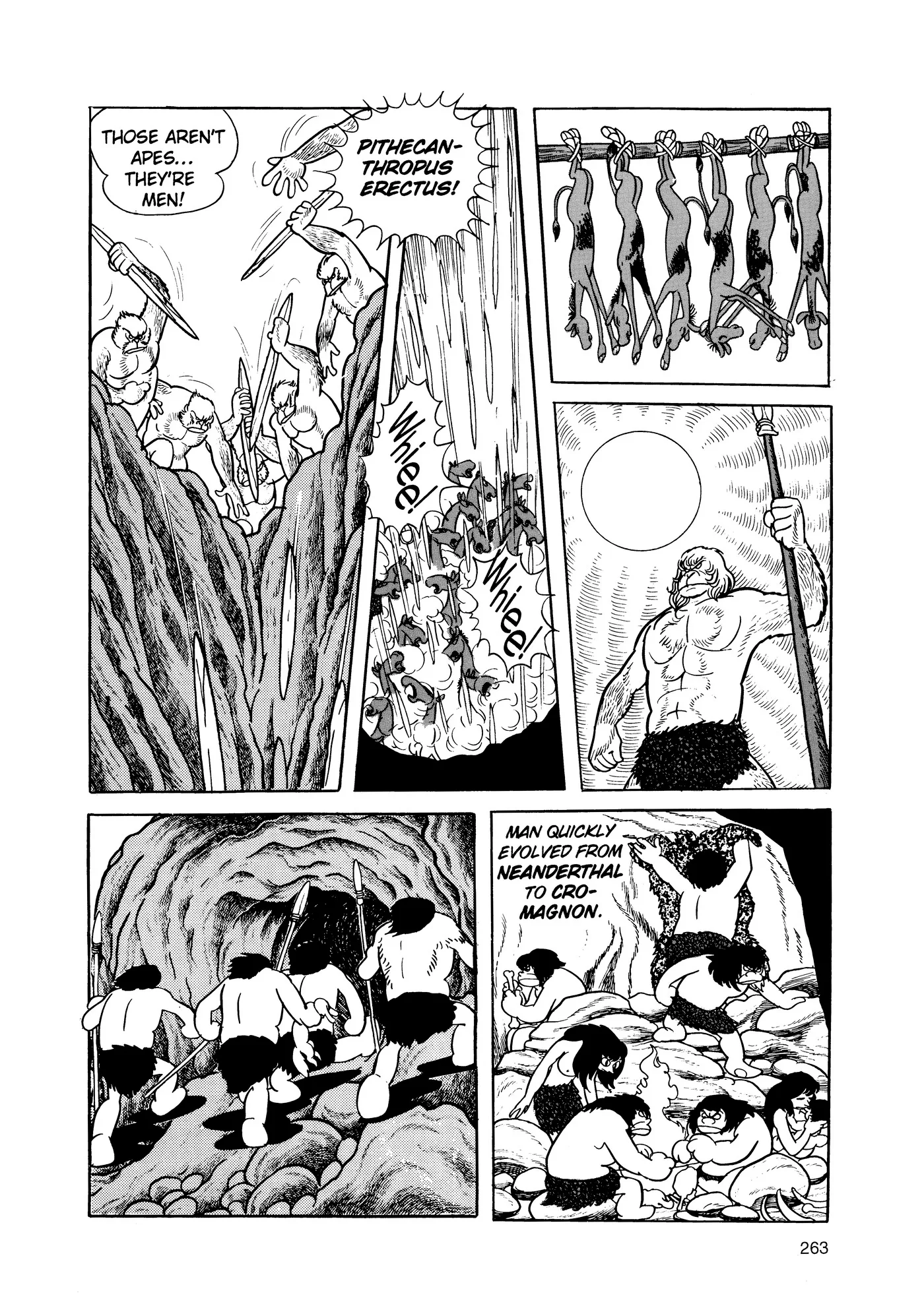 Phoenix - Capítulo 2 - Página 262 - LectorTMOo