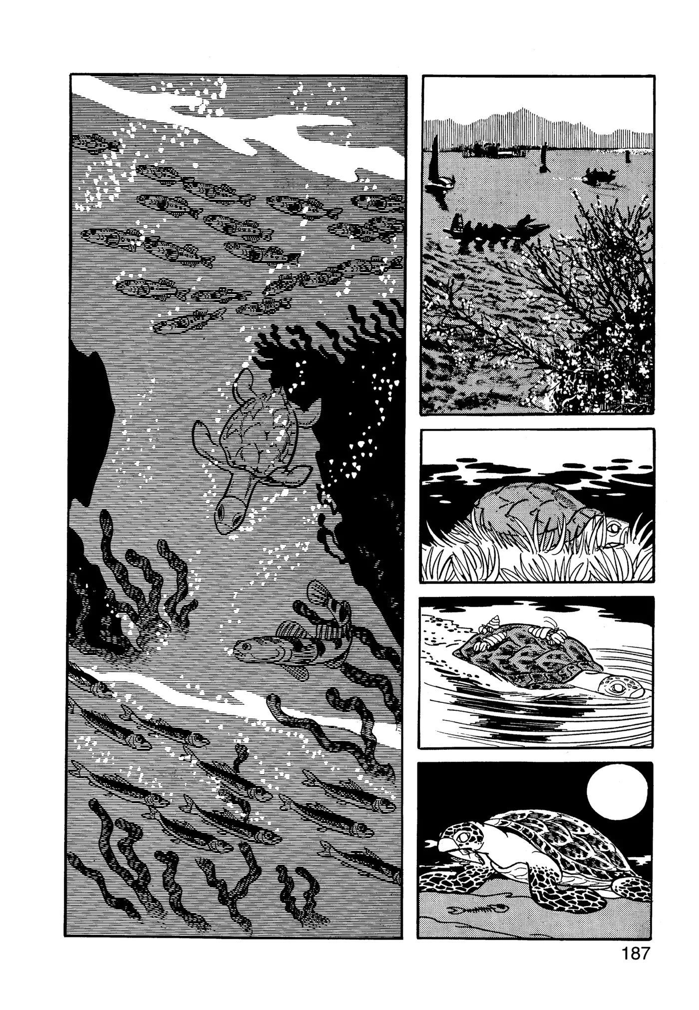 Phoenix - Capítulo 5 - Página 184 - LectorTMOo