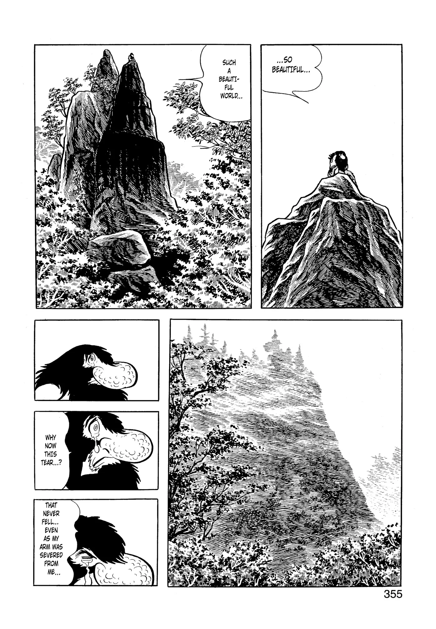 Phoenix - Capítulo 5 - Página 346 - LectorTMOo