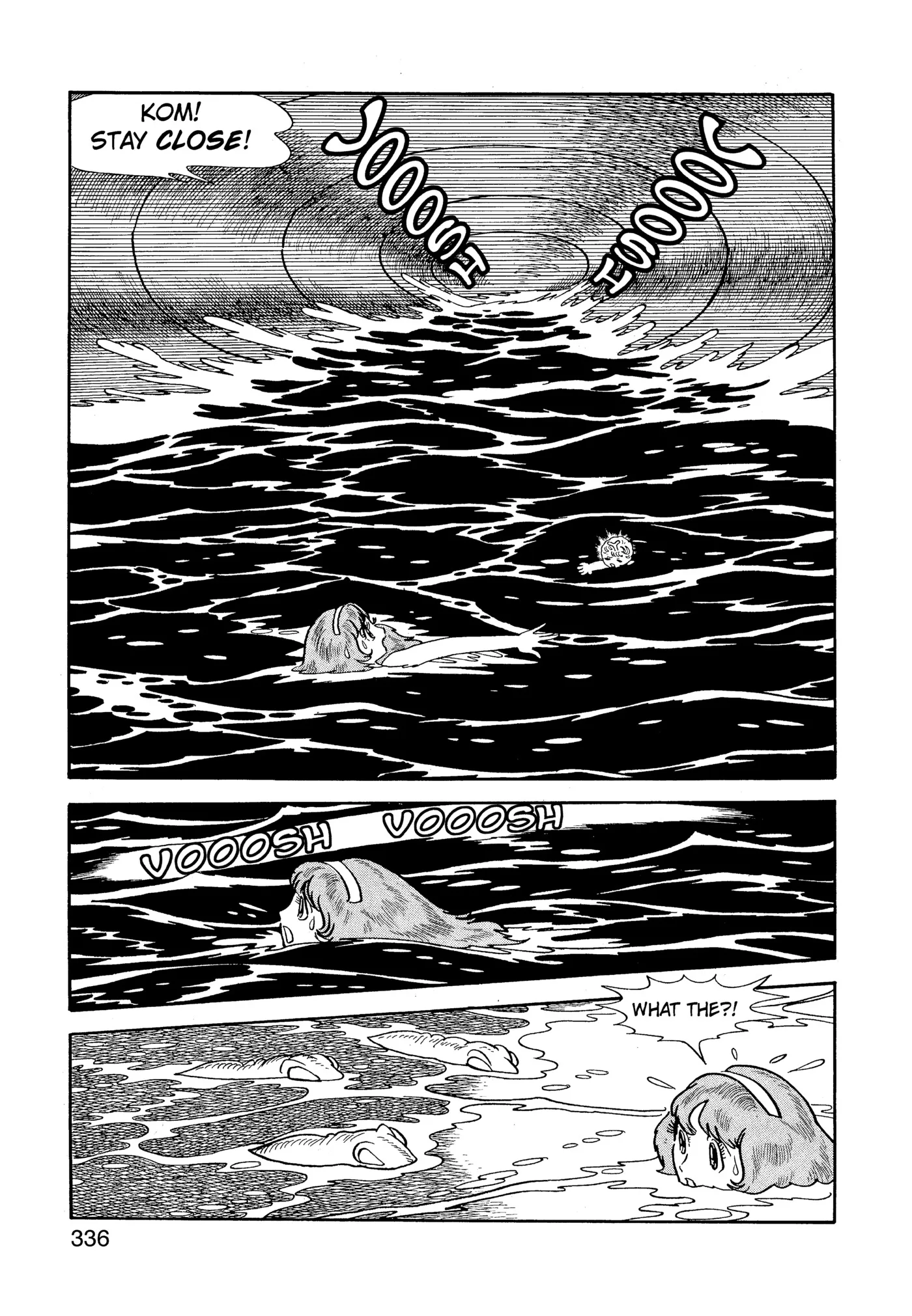 Phoenix - Capítulo 8 - Página 335 - LectorTMOo