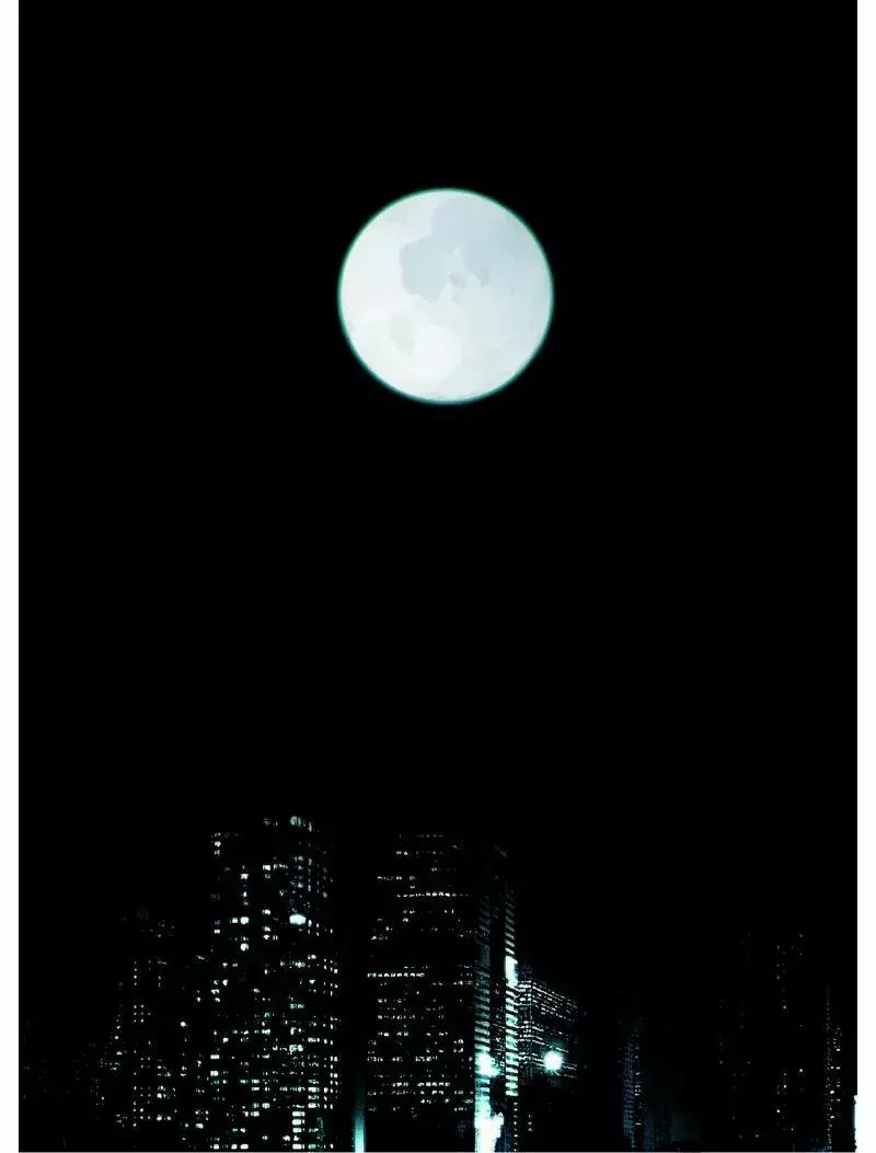 Reveries of the Moonlight capítulo 1 página 5