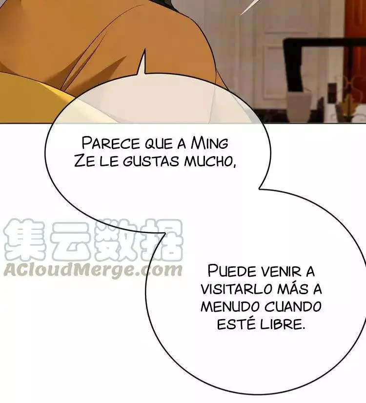 The Mismatched Marriage capítulo 47 página 44