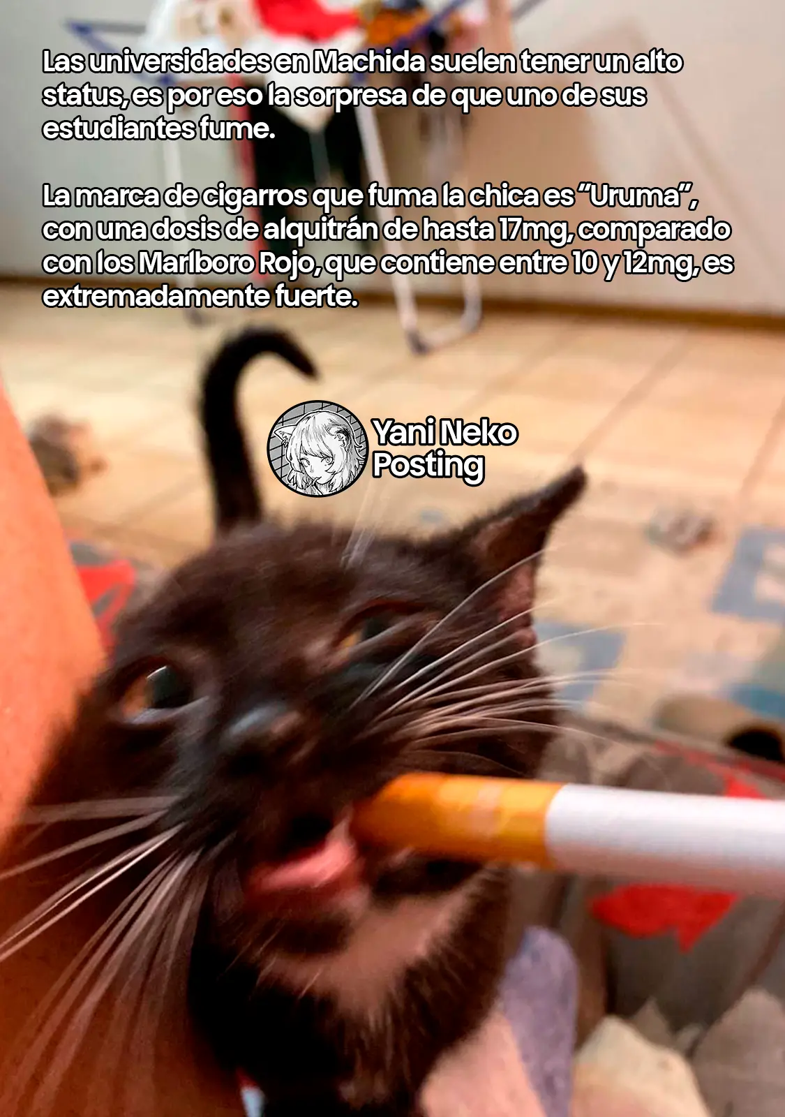 Yani Neko capítulo 112 página 5