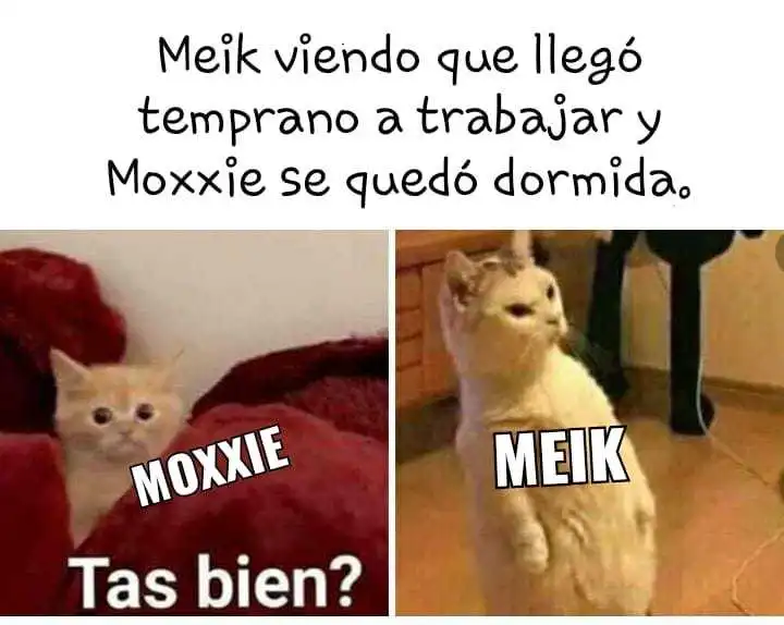Cuidado Con La Villana ! capítulo 84 página 4