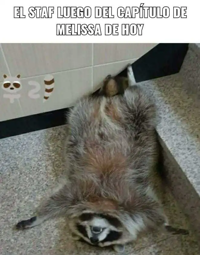 Cuidado Con La Villana ! capítulo 84 página 5